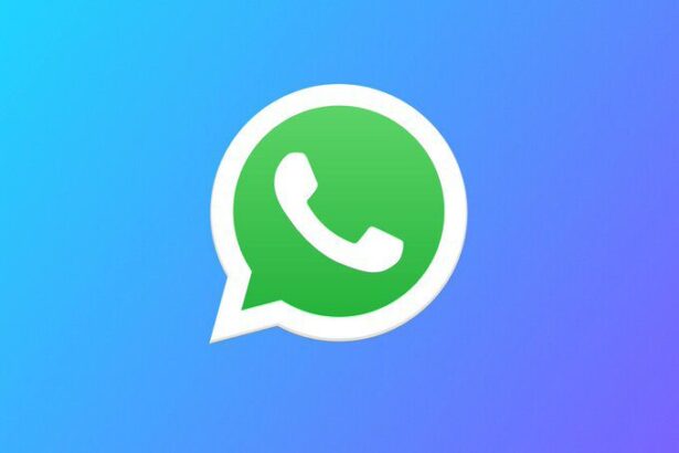 Así funciona WhatsApp Premium, la versión paga de la App