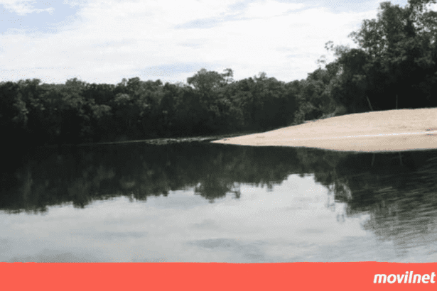 Movilnet restituye señal a más de mil clientes en Isla Ratón, Amazonas