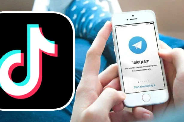 Descarga videos de TikTok sin marca de agua desde Telegram