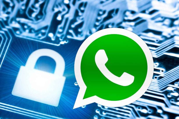 Copia de seguridad cifrada de extremo a extremo, llega a WhatsApp. (+Pasos para activarla)
