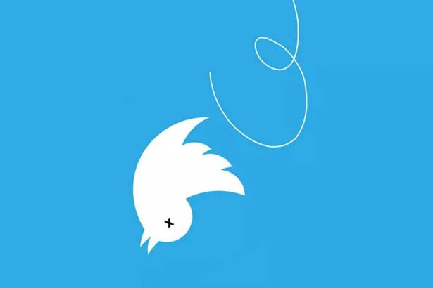 Estás son algunas alternativas a Twitter que debes conocer